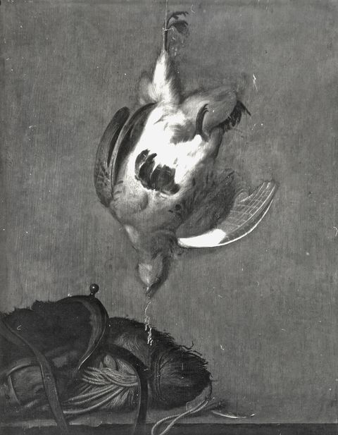 Anonimo — Kneller John Zachary - sec. XVII/ XVIII - Natura morta con selvaggina — insieme